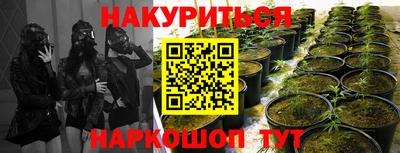 дмт Балашиха