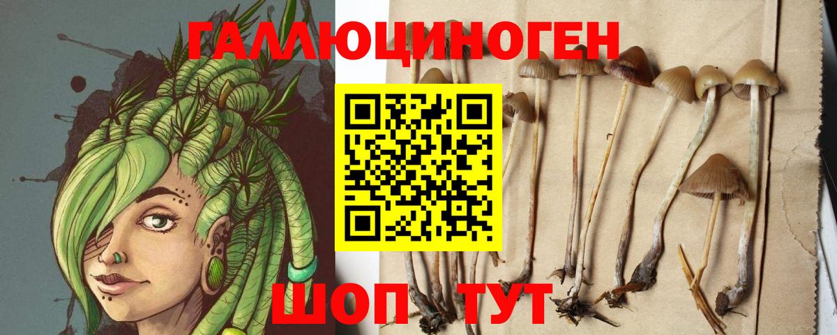 Вязники  Галлюциногенные грибы мицелий  Вход с VPN 